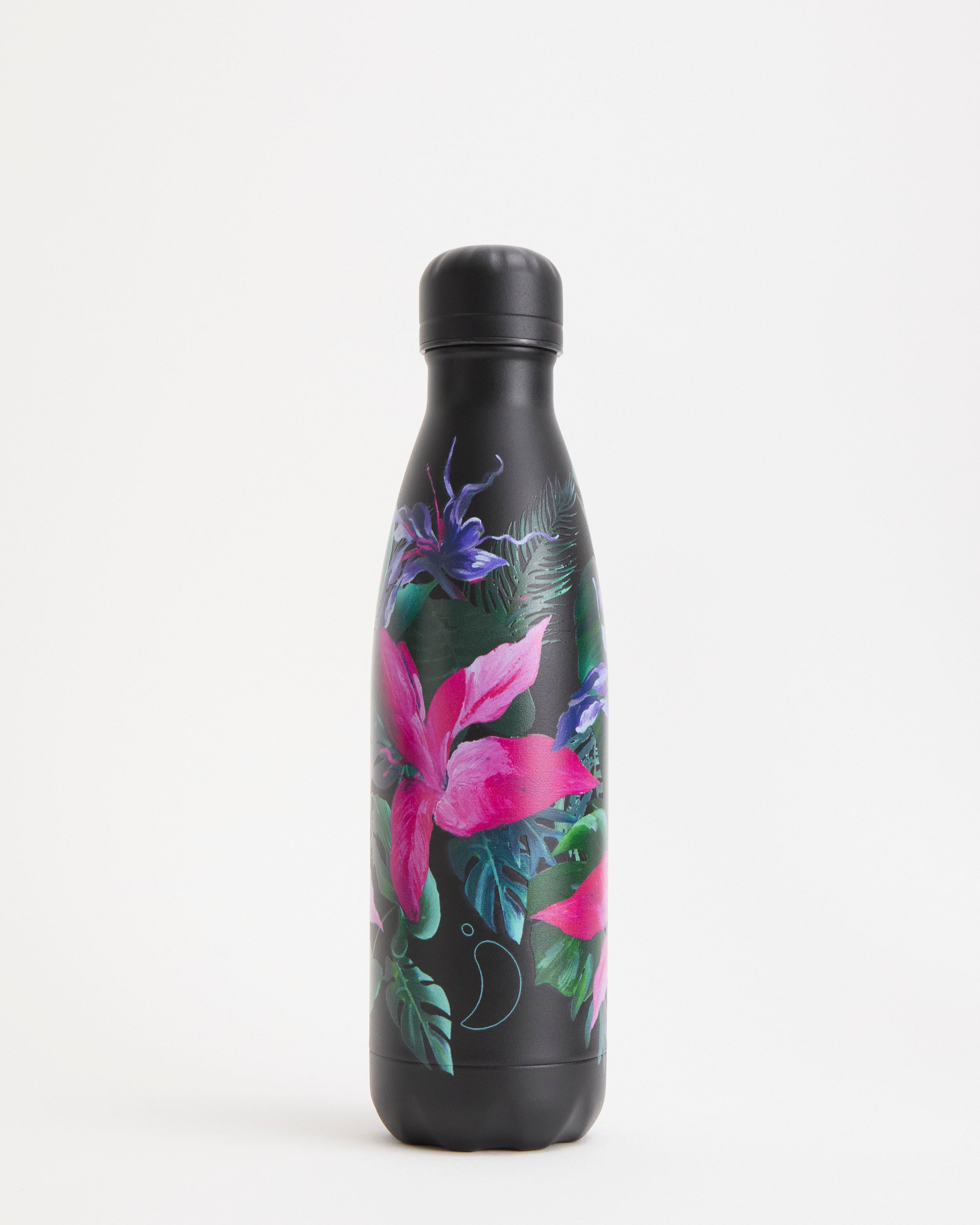 Big Cats Water Bottle | Big Cats Reusable Water Bottles – Chilly's