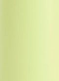 Limelite Green Flip Bottle