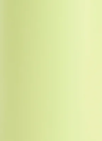 Limelite Green Flip Bottle